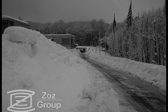 20100205_1006611953_2010-02-03-zoz-in-the-snow-011