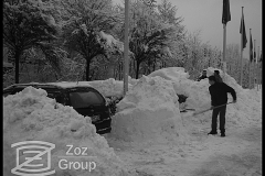 20100205_1046198533_2010-02-03-zoz-in-the-snow-008