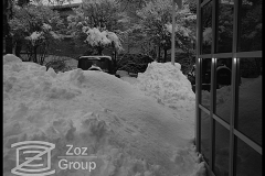 20100205_1283685906_2010-02-03-zoz-in-the-snow-017
