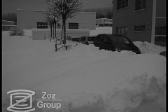 20100205_1328367719_2010-02-03-zoz-in-the-snow-015