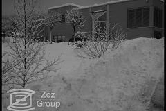 20100205_1928628783_2010-02-03-zoz-in-the-snow-014