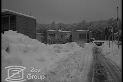 20100205_1984785757_2010-02-03-zoz-in-the-snow-012
