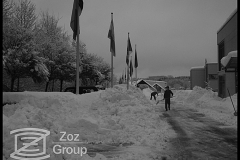 20100205_2039818716_2010-02-03-zoz-in-the-snow-005